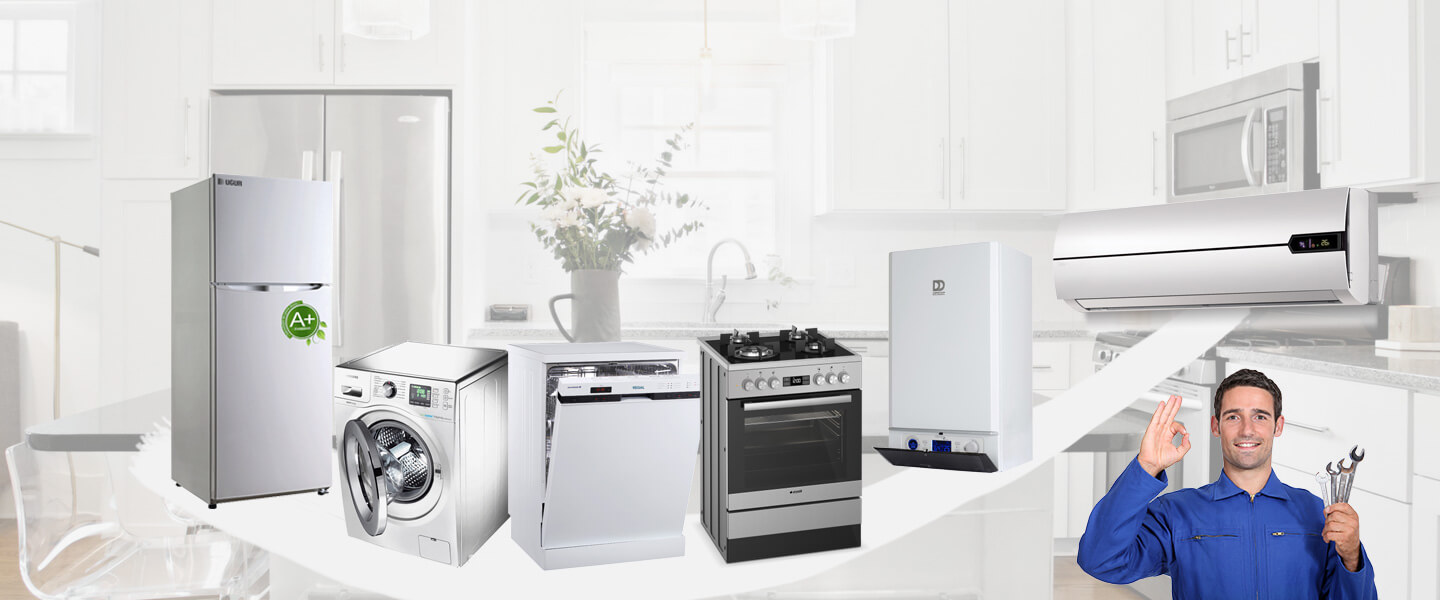 Kemalpaşa Electrolux Servisi